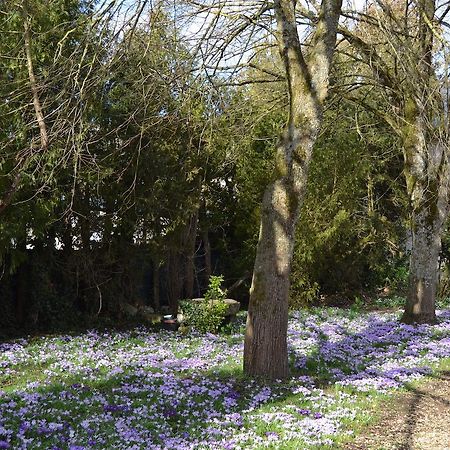 Domaine De Benveau Brécy エクステリア 写真